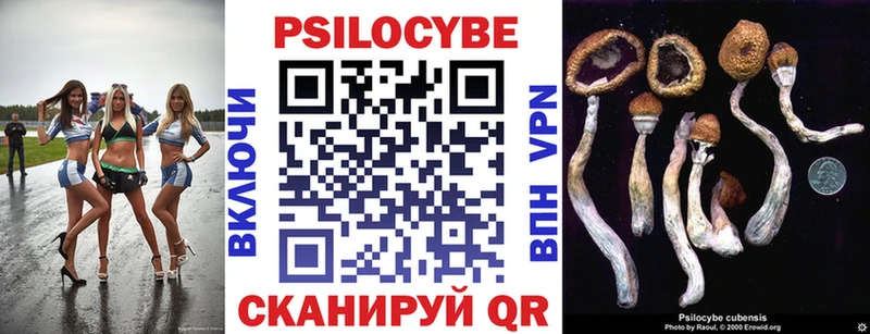 Псилоцибиновые грибы Psilocybe Красновишерск